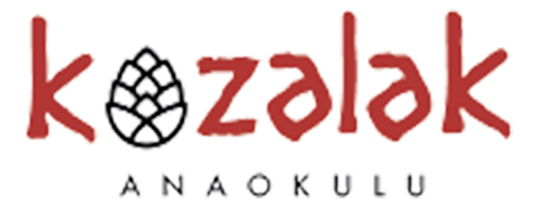 kozalak-500.png